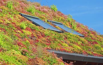 Westwell Leacon living roof systems